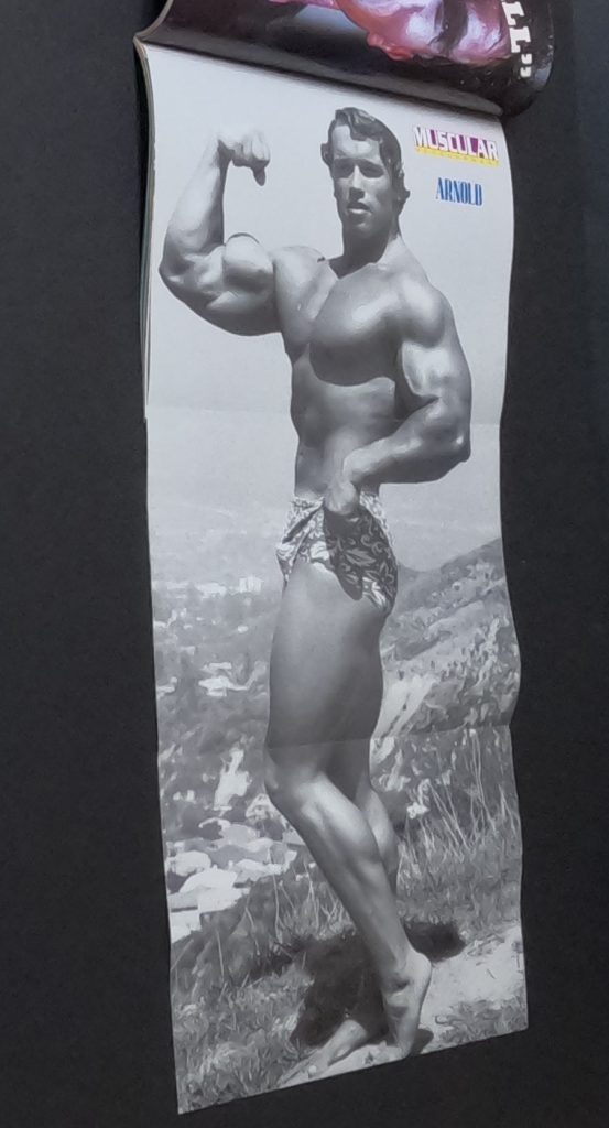 muscular-development-07-1990-cory-everson-laura-creavalle-arnold