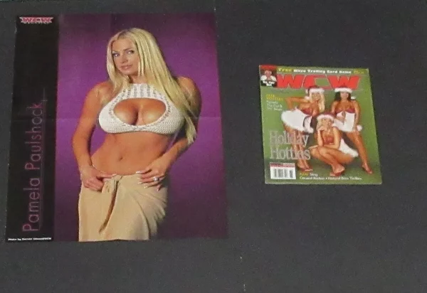 WCW Magazine 12/2000 Stacy Keibler Torrie Wilson Pamela Paulshock WWE Divas Rare