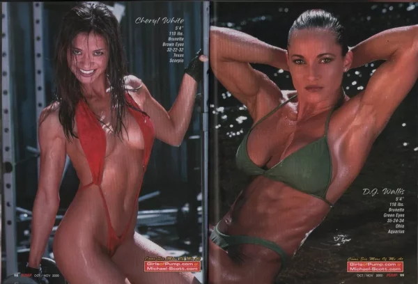 Pump Magazine 10/2000 Dana Hamm Women’s Physique Diva + 2 Huge Posters - Image 10