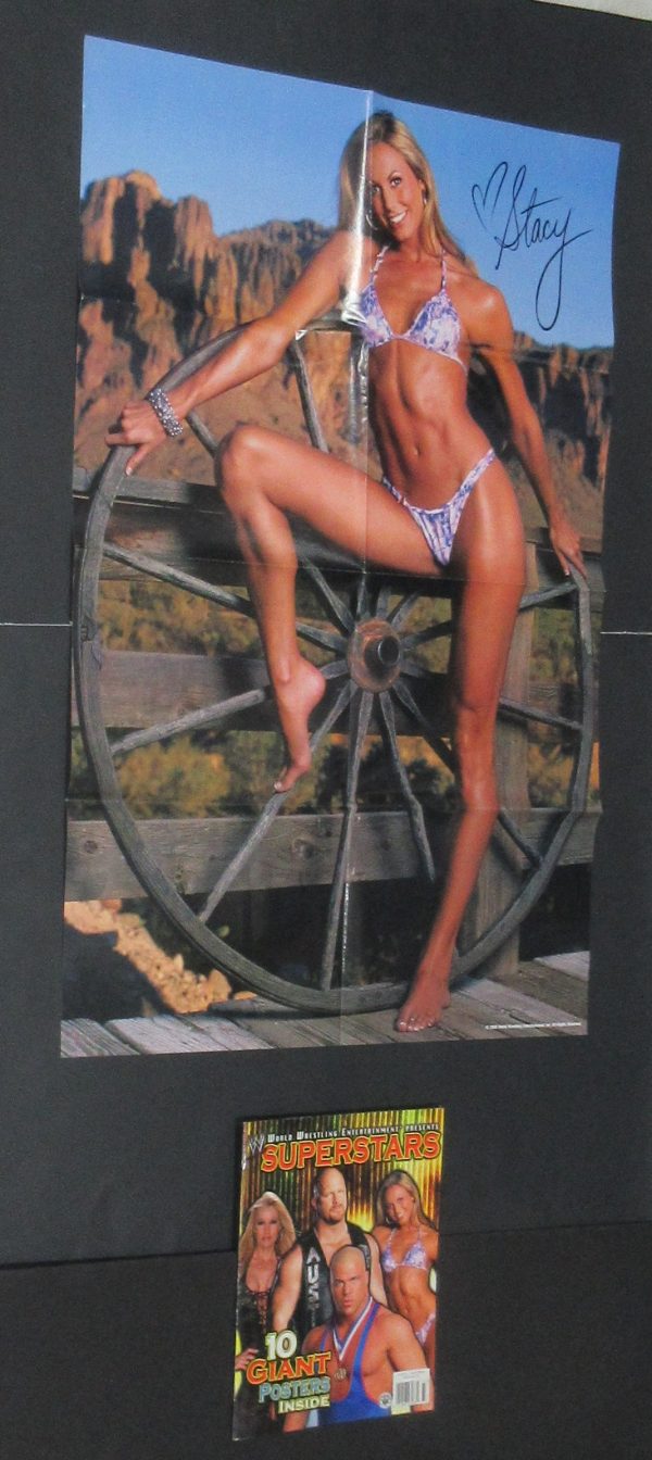 2003 WWE 10 Superstars Divas Stacy Keibler Torrie Wilson Trish Stratus Sable and more - Image 2