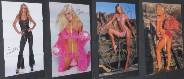 2003 WWE 10 Superstars Divas Stacy Keibler Torrie Wilson Trish Stratus Sable and more