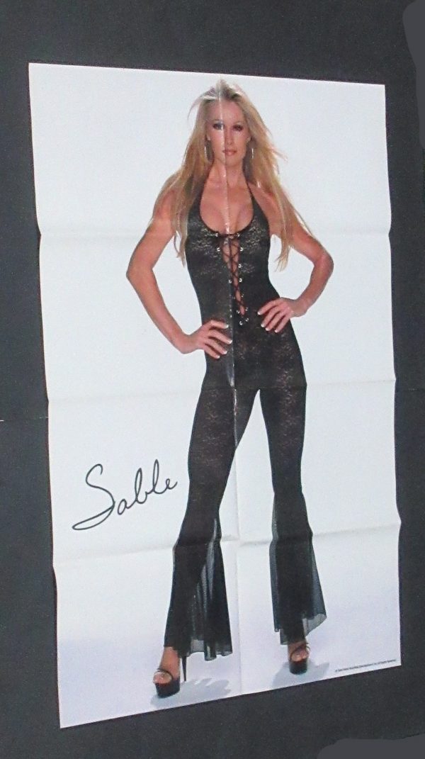 2003 WWE 10 Superstars Divas Stacy Keibler Torrie Wilson Trish Stratus Sable and more - Image 3