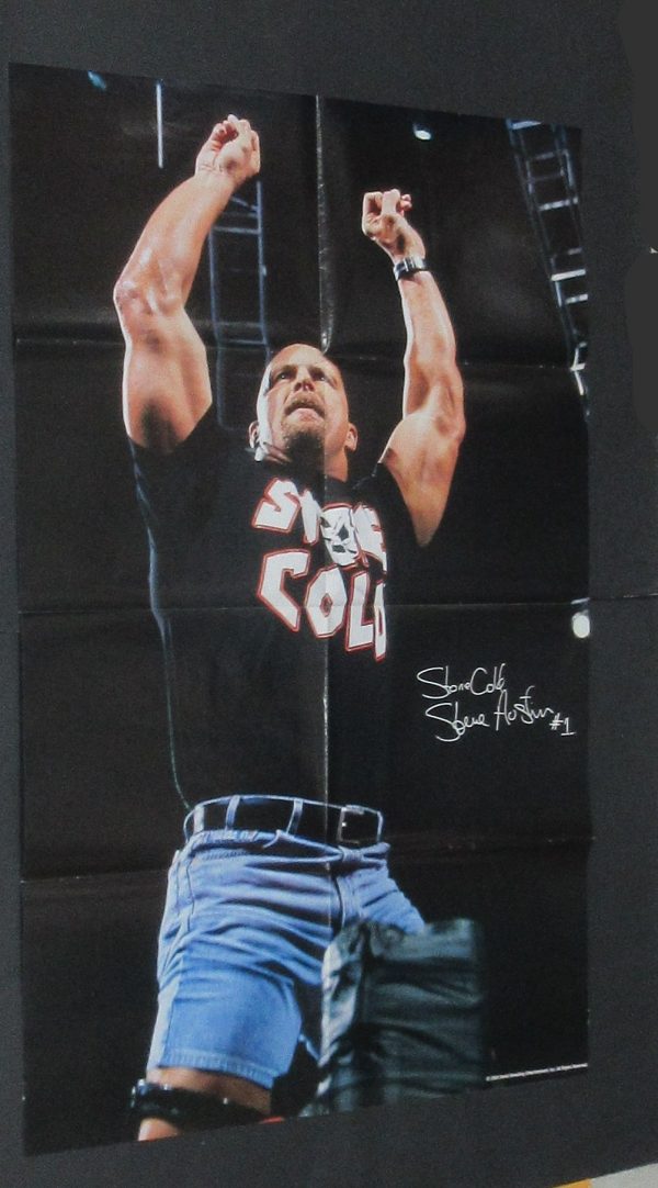 2003 WWE 10 Superstars Divas Stacy Keibler Torrie Wilson Trish Stratus Sable and more - Image 4
