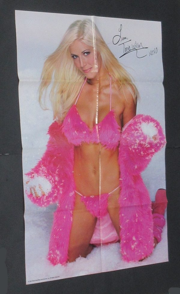 2003 WWE 10 Superstars Divas Stacy Keibler Torrie Wilson Trish Stratus Sable and more - Image 5