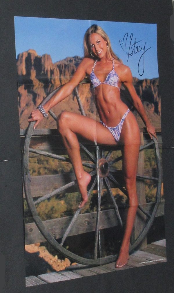 2003 WWE 10 Superstars Divas Stacy Keibler Torrie Wilson Trish Stratus Sable and more - Image 9