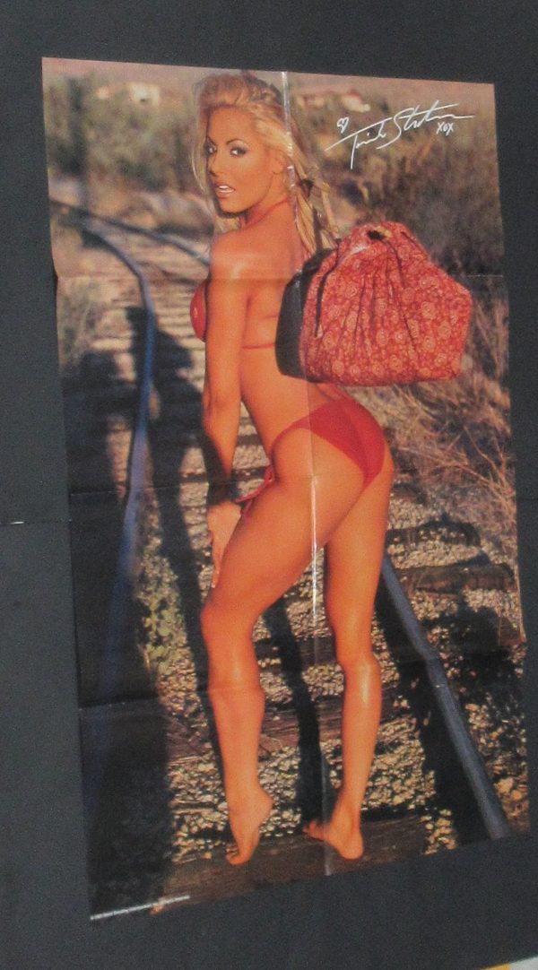 2003 WWE 10 Superstars Divas Stacy Keibler Torrie Wilson Trish Stratus Sable and more - Image 11