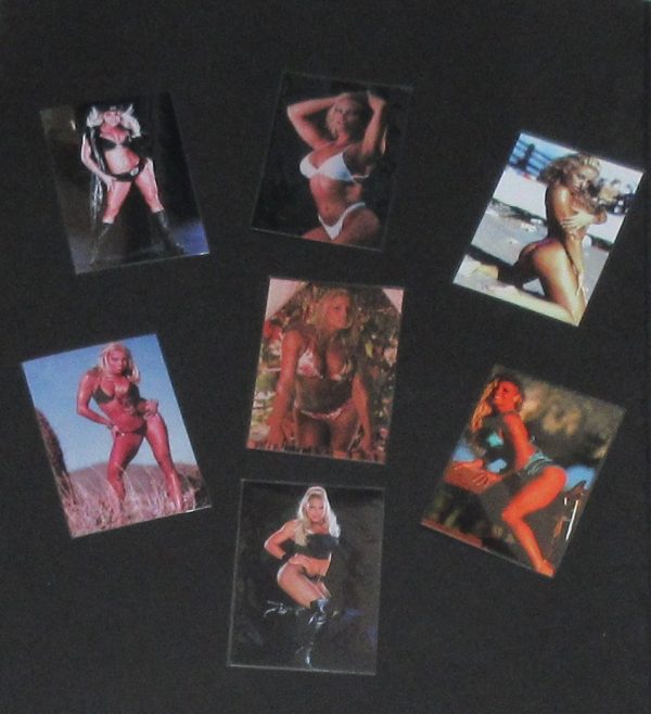 WWE Diva Trish Stratus Seven 4x6 Glossy Pictures