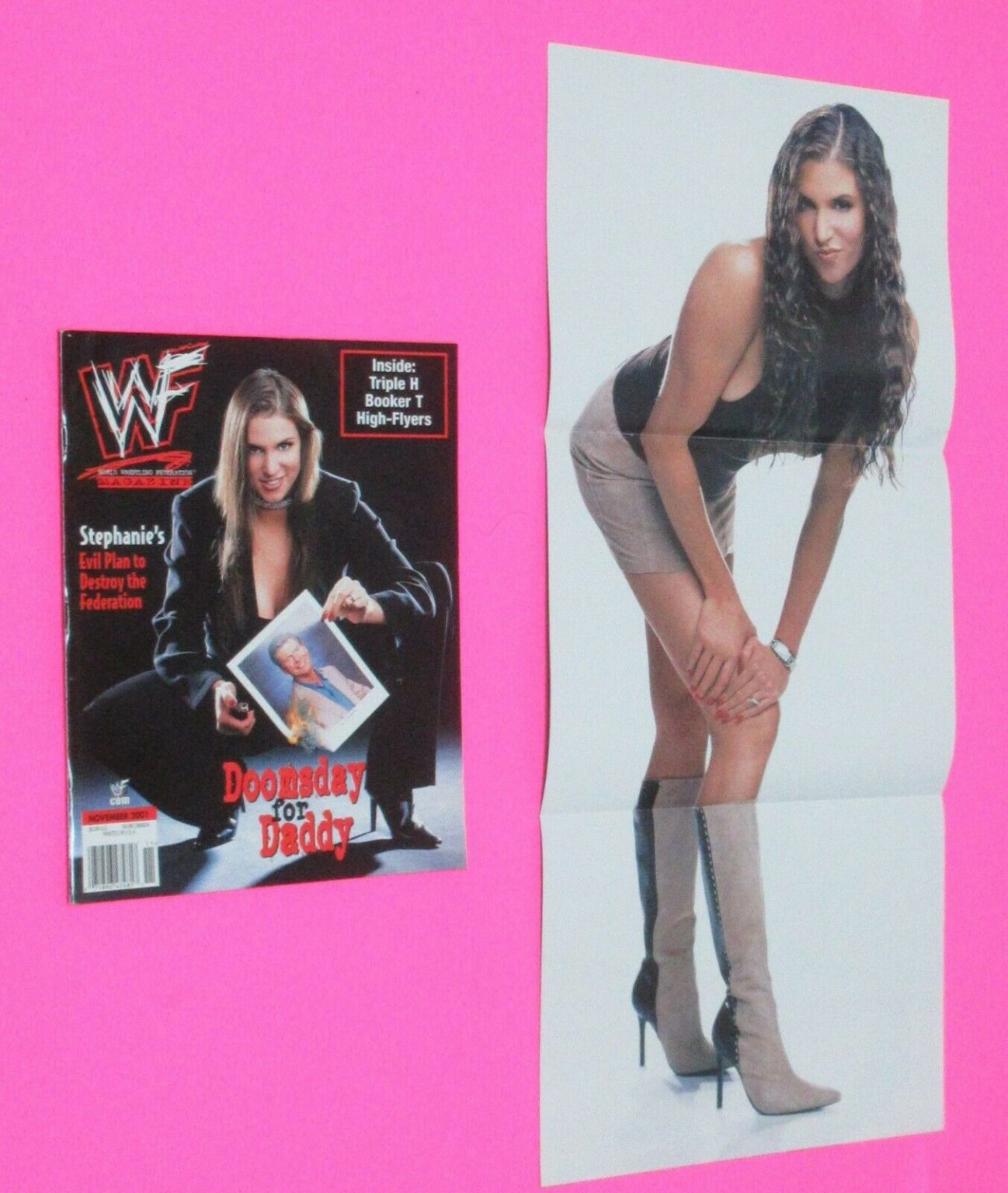 WWF November 2001 Magazine WWE Diva Stephanie McMahon VF Magiks