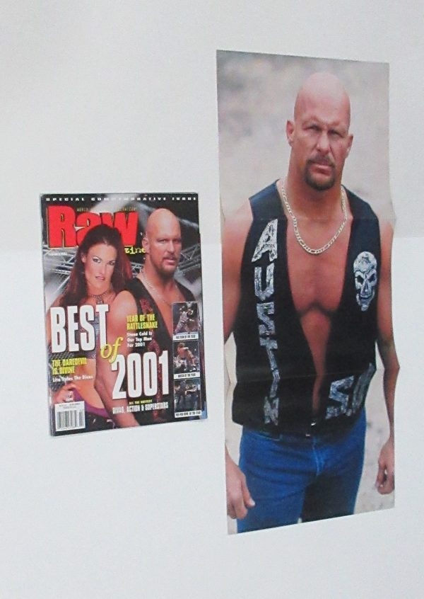 WWF Raw 02/2002 Lita Stacy Keibler Trish Stratud WWE Divas Poster & Picture - Image 2