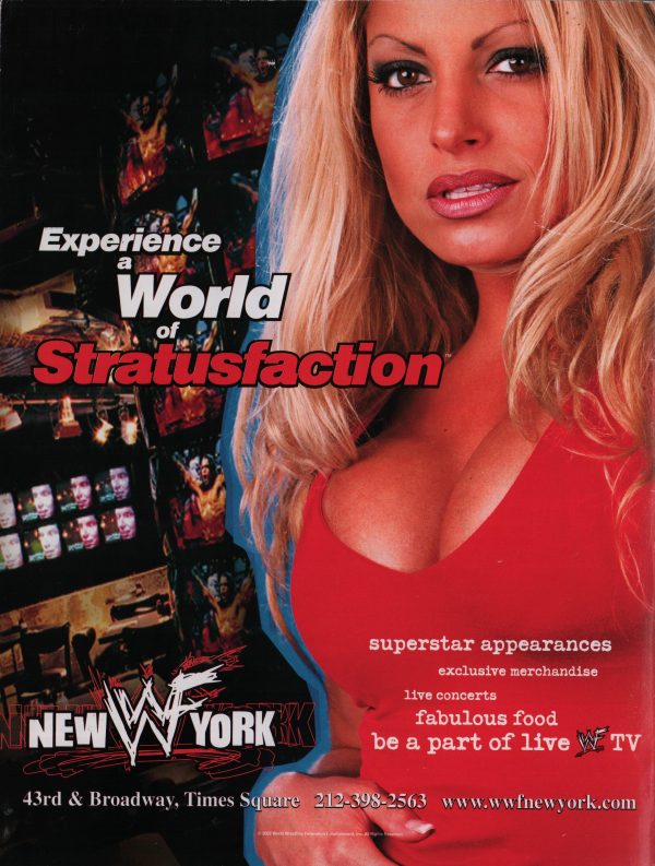 WWF Raw 02/2002 Lita Stacy Keibler Trish Stratud WWE Divas Poster & Picture - Image 3