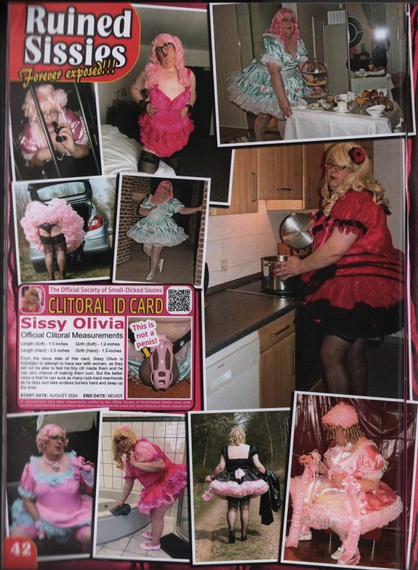 Ruined Sissies #6 Magazine Transgender Transvestite French Maid TV TS - Image 7