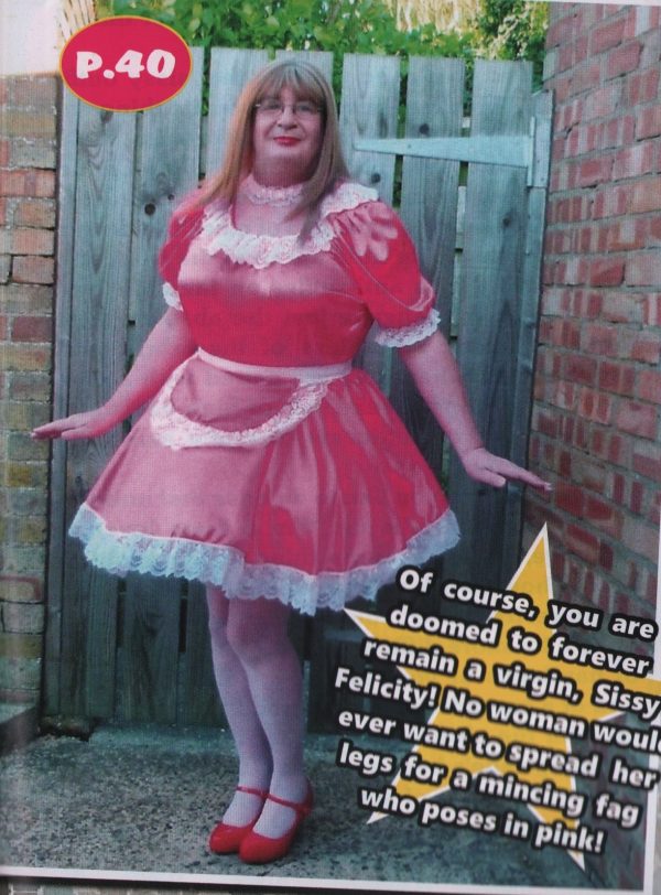 Ruined Sissies #3 Magazine Transgender Transvestite French Maid TV TS - Image 4