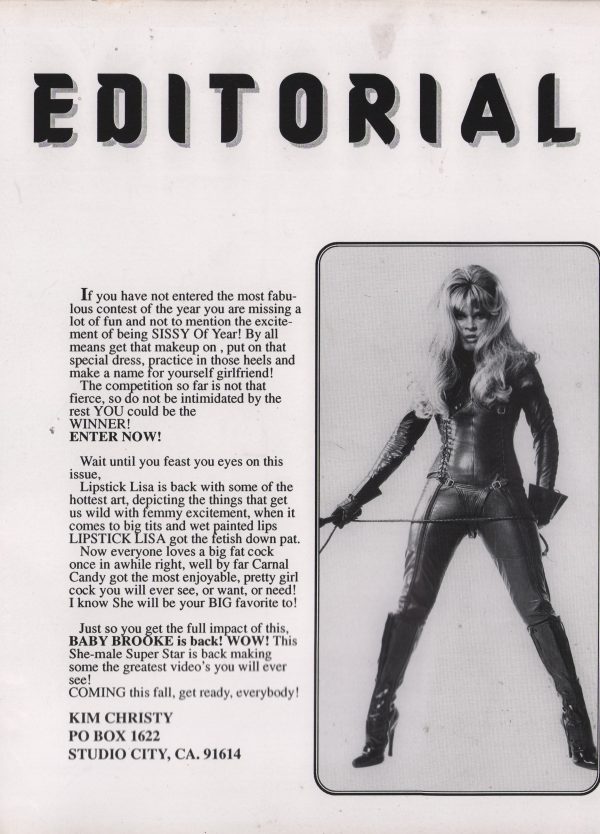 Sissy Expose #16 Magazine Transgender Transvestite TV TS - Image 9
