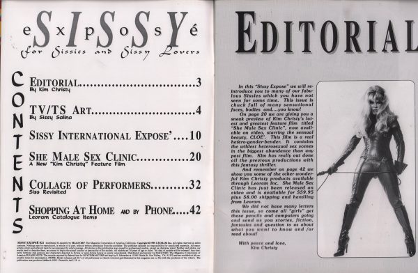 Sissy Expose #21 Magazine Transgender Transvestite TV TS + Poster - Image 9