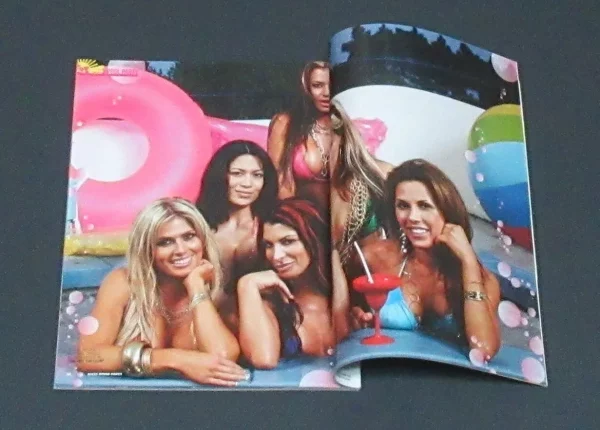 WWF Divas Magazine Swimsuits 2007 Torrie Wilson Molly Michelle Strong WWE Poster - Image 11