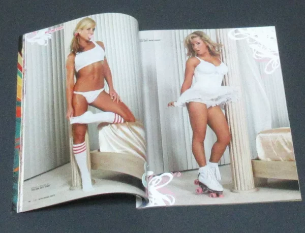 WWF Divas Magazine Swimsuits 2007 Torrie Wilson Molly Michelle Strong WWE Poster - Image 3
