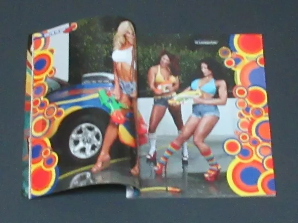 WWF Divas Magazine Swimsuits 2007 Torrie Wilson Molly Michelle Strong WWE Poster - Image 12