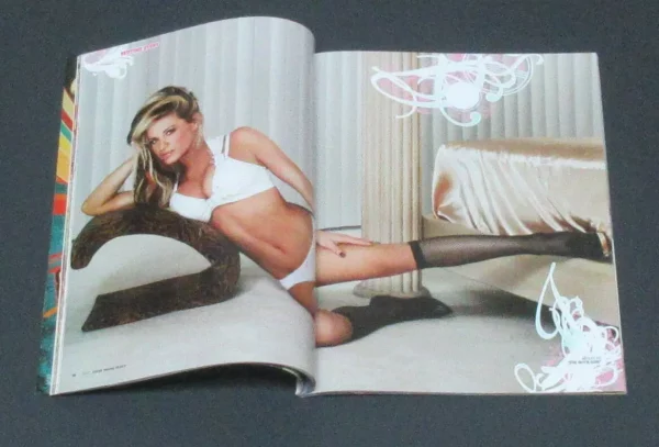 WWF Divas Magazine Swimsuits 2007 Torrie Wilson Molly Michelle Strong WWE Poster - Image 4