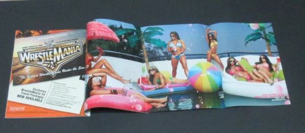 WWF Divas Magazine Swimsuits 2007 Torrie Wilson Molly Michelle Strong WWE Poster - Image 9