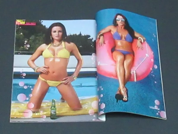 WWF Divas Magazine Swimsuits 2007 Torrie Wilson Molly Michelle Strong WWE Poster - Image 10