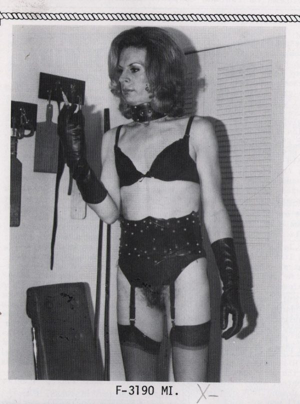 Amazon #6 Magazine Femdom Dominatrix Contacts Articles Pictures and more - Image 2
