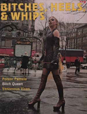 Bitches Heels & Whips Volume 3 #1 Magazine Femdom Strong Dominatrix  Fantasy